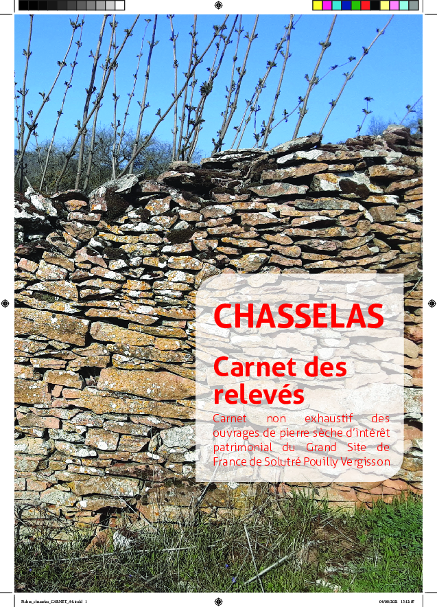 Chasselas