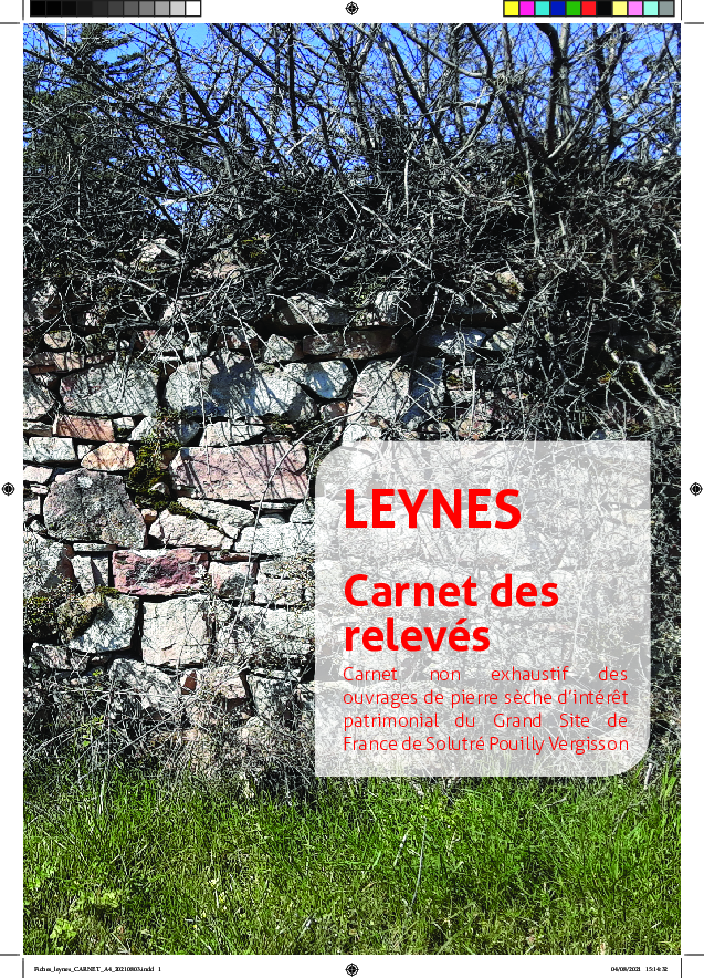 Leynes