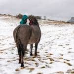 Préservation, Biodiversité et Transhumance au Cœur du Grand Site de France