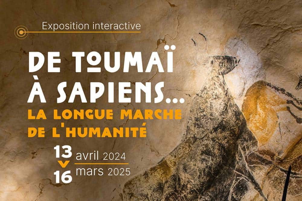 Exposition Toumai