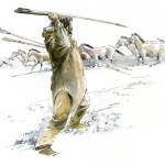 Exposition temporaire – Le propulseur, des chasseurs de rennes aux chasseurs de kangourous