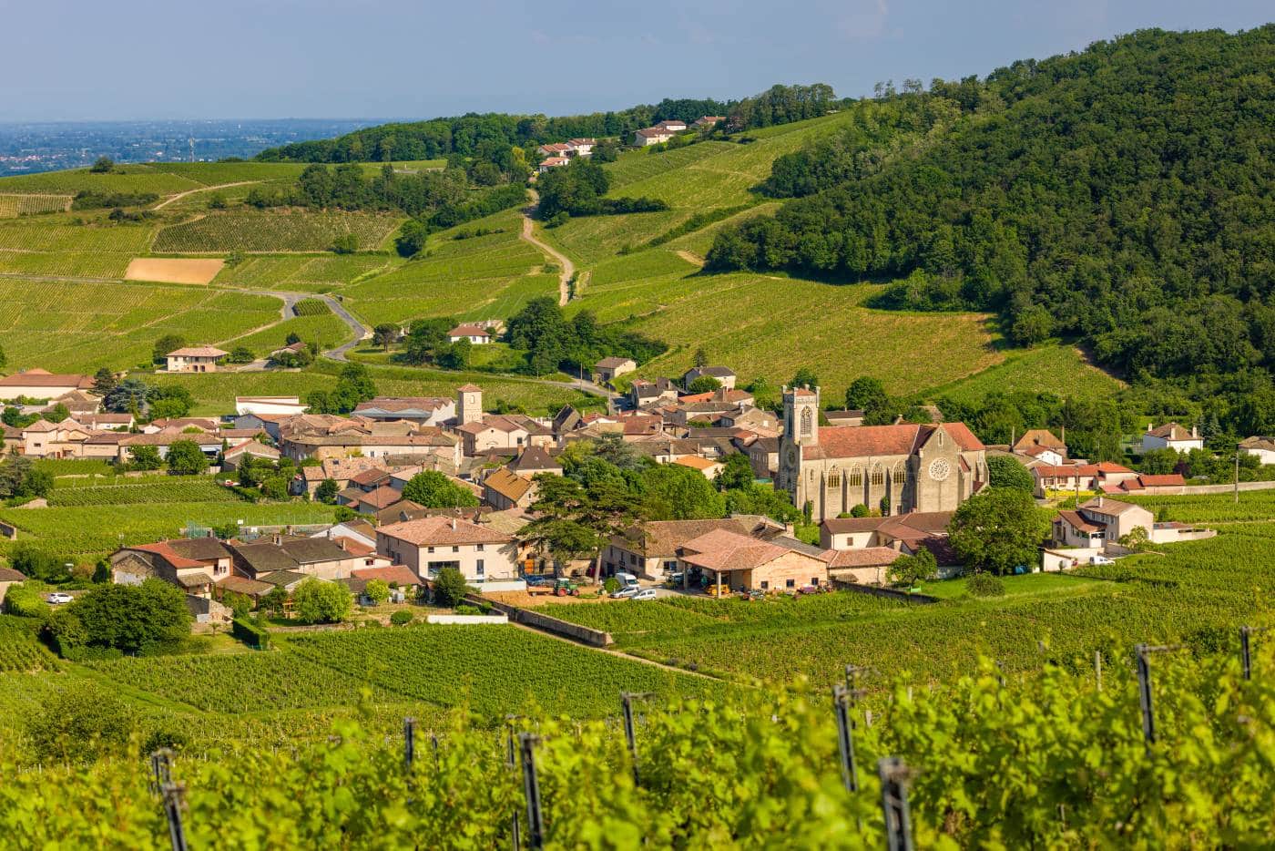 PEB_Solutré-Pouilly_077 PEB Solutre Pouilly 077