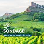 Sondage – Habitants et visiteurs du Grand Site