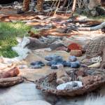 Préhisto'week-end – Nuit européenne des musées